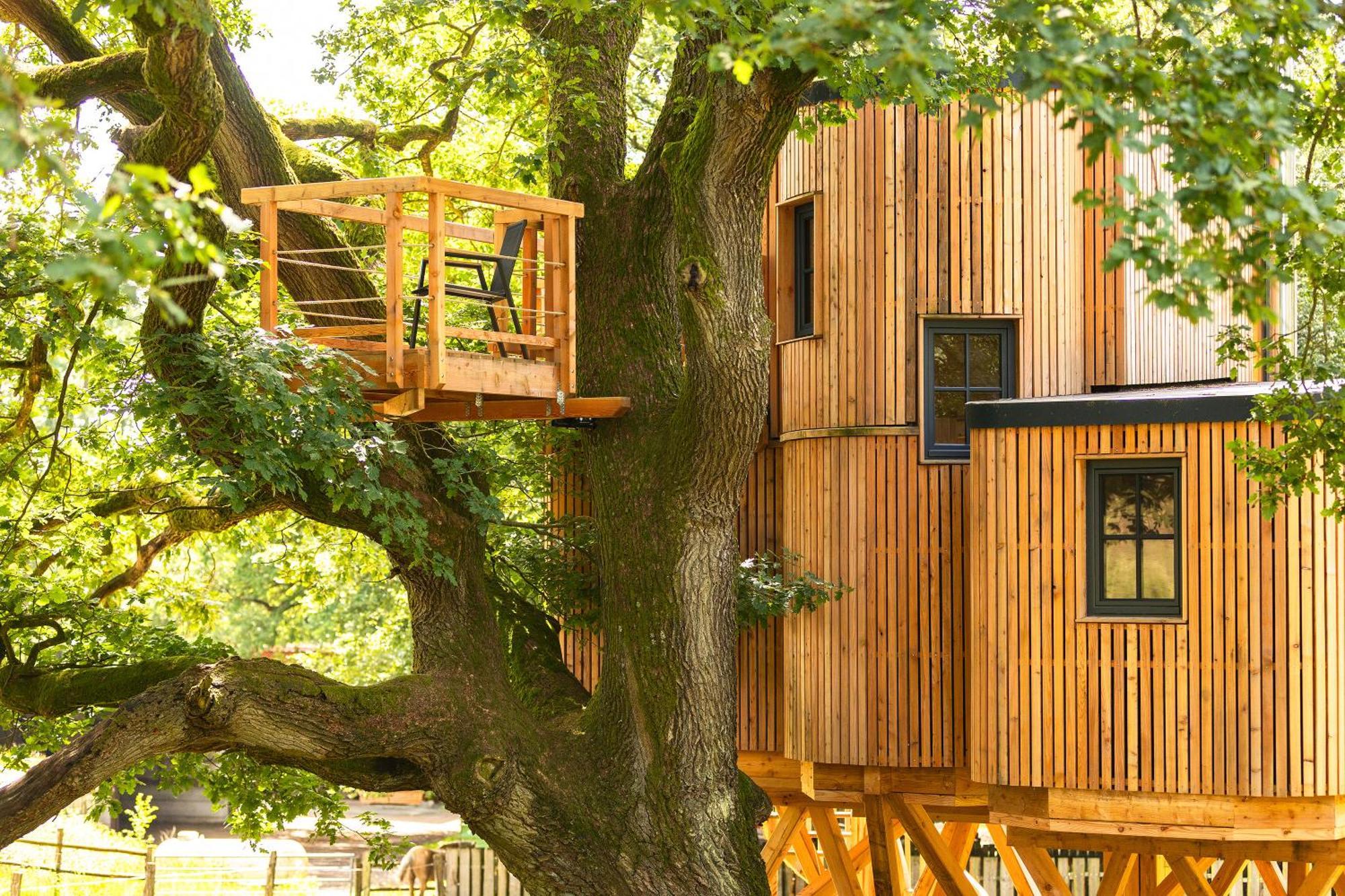 Apartamento Heide Ferien - Hof Bockelmann Bispingen Habitación foto