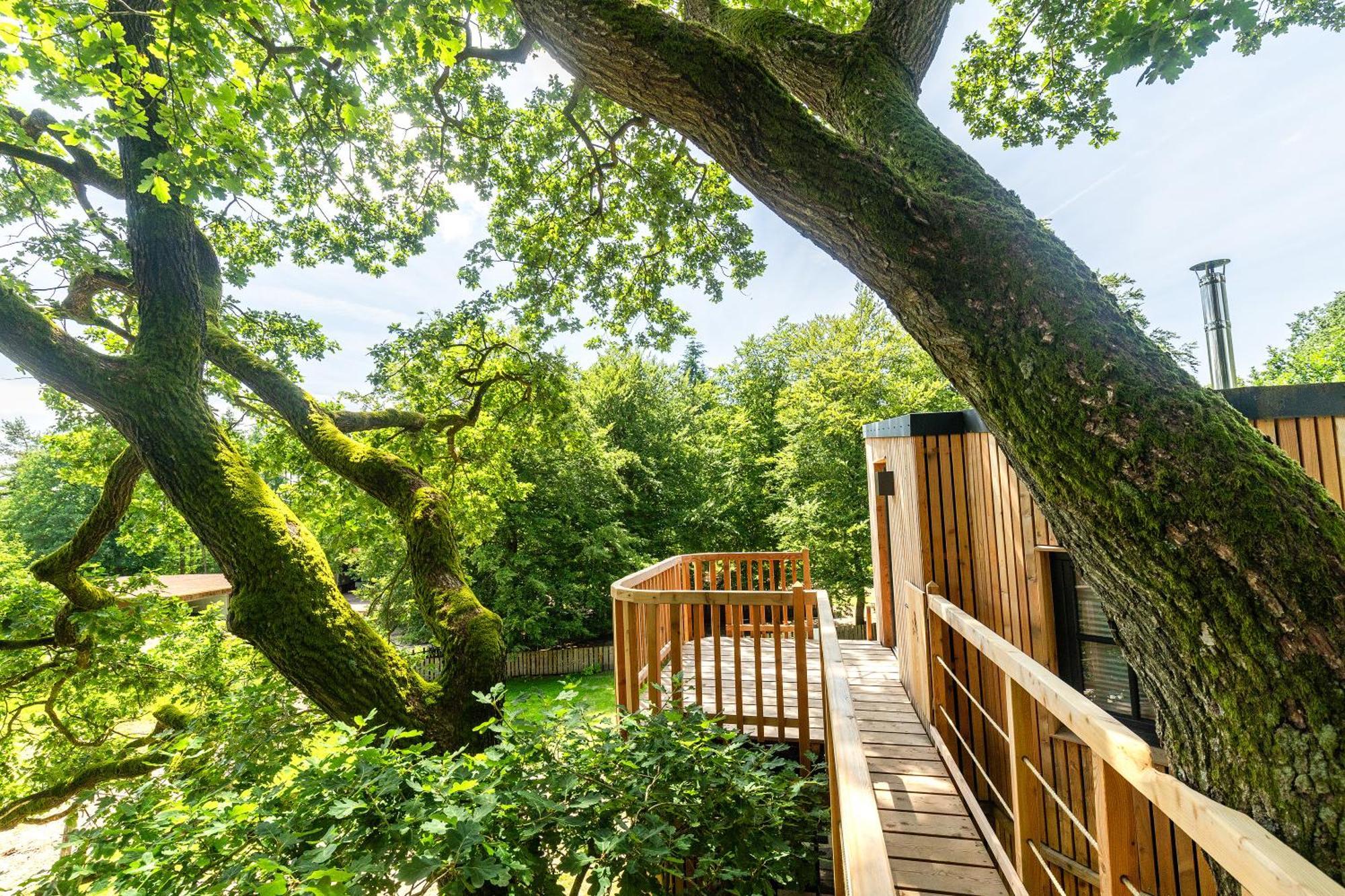 Apartamento Heide Ferien - Hof Bockelmann Bispingen Habitación foto
