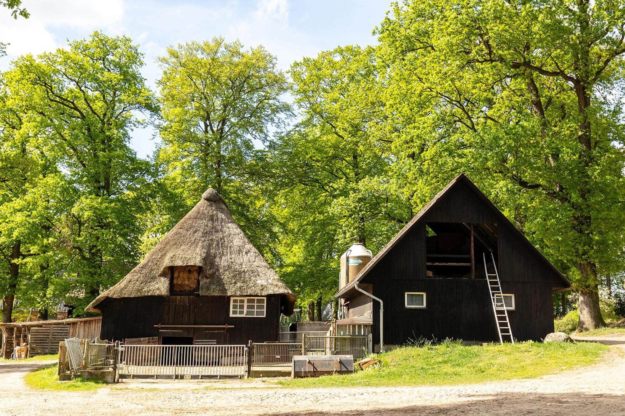 Apartamento Heide Ferien - Hof Bockelmann Bispingen Exterior foto