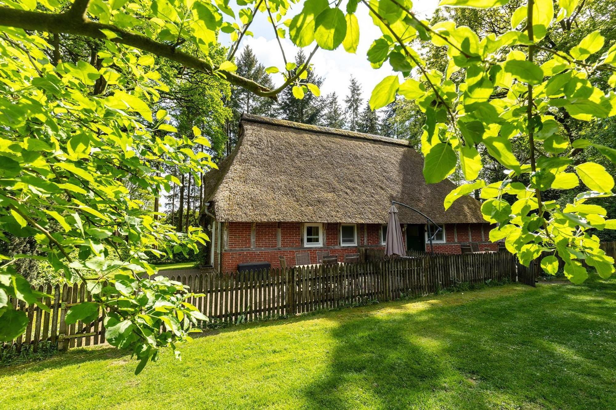Apartamento Heide Ferien - Hof Bockelmann Bispingen Exterior foto