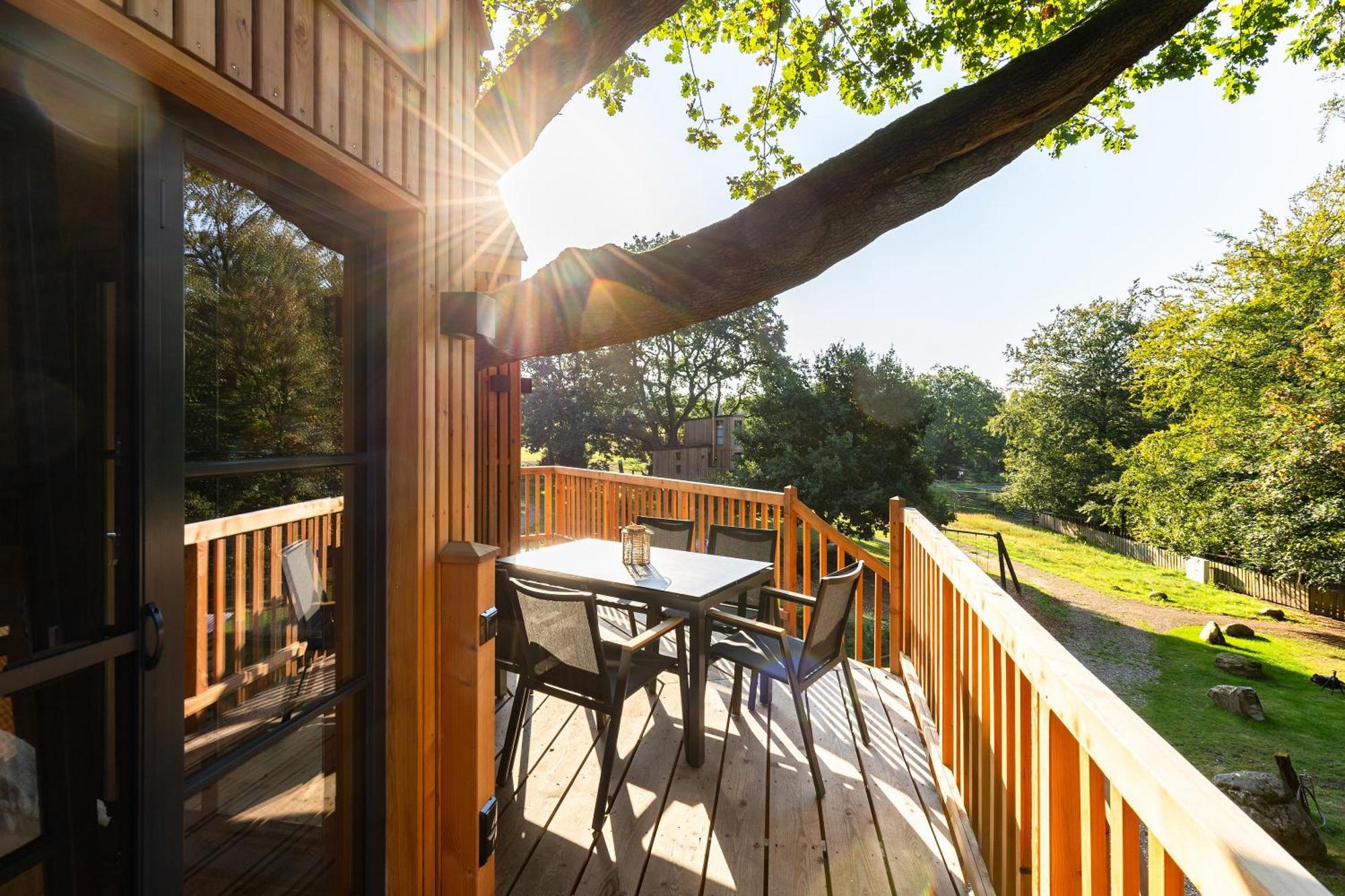 Apartamento Heide Ferien - Hof Bockelmann Bispingen Exterior foto